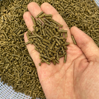 Cỏ Linh Lăng Alfalfa viên nén 3mm 1kg thức ăn thỏ, bọ, gà, hamster