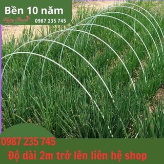 Thanh nan sợ thủy tinh 2m - 3m dài nguyên cây làm giàn cây leo khung vòm trồng rau gieo mạ φ0,5 - φ0,8cm, có nẹp nối