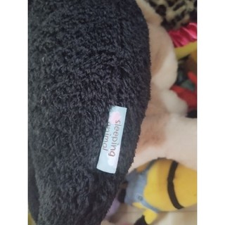 Gấu bông mèo size 35cm