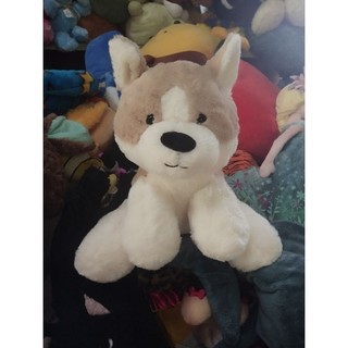 Gấu bông cún size 25-30cm
