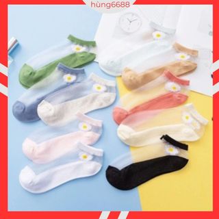 Tất lưới hoa cúc,set 10 đôi hàn quốc z96