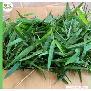 1kg lá tre gai rừng hái tự nhiên