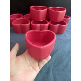 Chậu gốm trồng sen đá