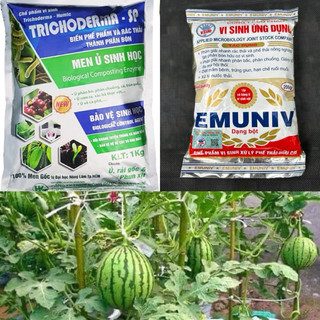Phân Vi Sinh, Men Ủ Phân - Chế Phẩm Sinh Học Trichoderma (Nấm Đối Kháng) Túi 200gr - 1Kg