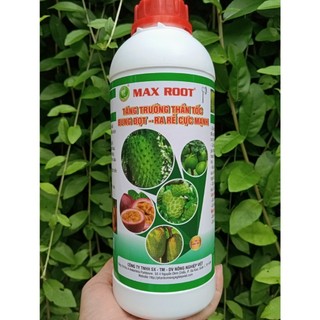 Max root tăng trưởng thần tốc bung đọt - ra rễ cực mạnh