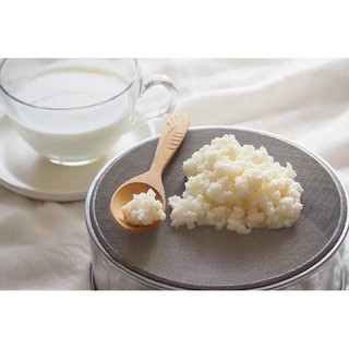 Nấm kefir.