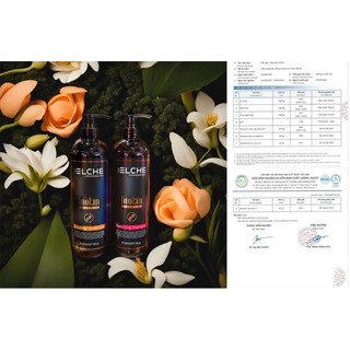 Bộ gội xả phục hồi hữu cơ Biotin Elche