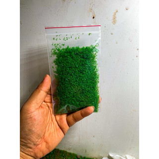 Bột Rêu Giả (10gram) Trang Trí Thuỷ Sinh