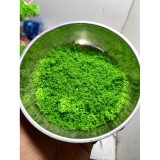 Bột Rêu Giả (10gram) Trang Trí Thuỷ Sinh