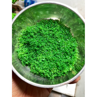 Bột Rêu Giả (10gram) Trang Trí Thuỷ Sinh
