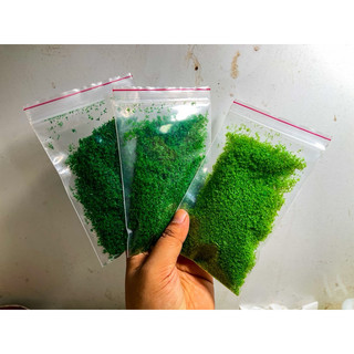 Bột Rêu Giả (10gram) Trang Trí Thuỷ Sinh