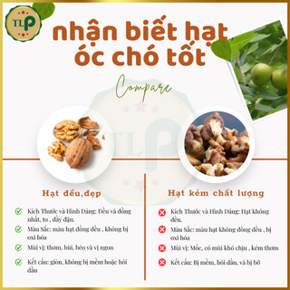 HẠT ÓC CHÓ CAO CẤP TÂN LỘC PHÁT BỊCH 500G
