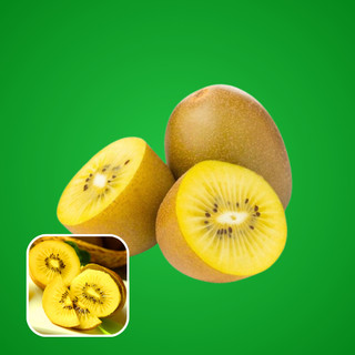 Kiwi vàng hữu cơ nhập khẩu-Trái tròn đều