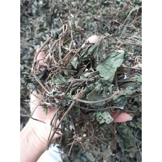 1kg cây lá lốt khô hàng chuẩn sạch nhà làm