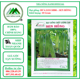 Hạt giống dưa leo bóng sh80 - gói 10gr - sen hồng - nhà nông xanh