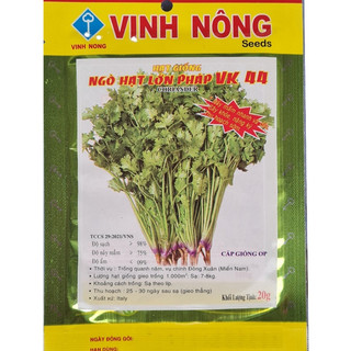 Hạt Giống Ngò Rí (20g), ngò lớn pháp
