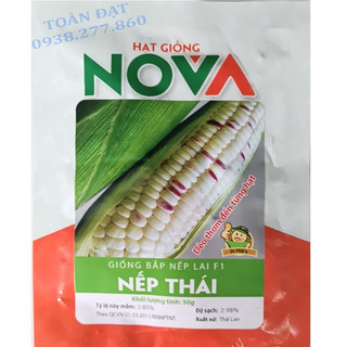 Hạt giống bắp nếp thái hồng Nova , giống bắp tím dẻo ngọt hai mũi tên đỏ 100g