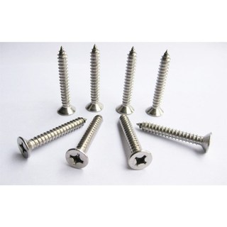 Vít inox gỗ đầu nhọn các loại 100gr