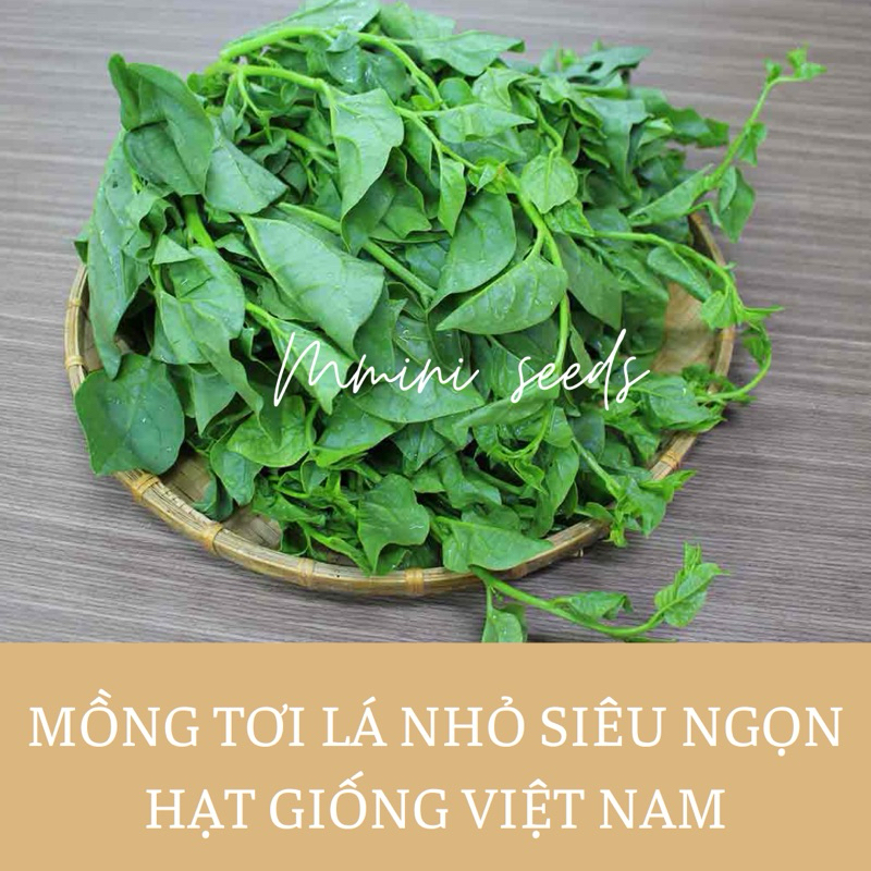 20gr Hạt giống rau mồng tơi
