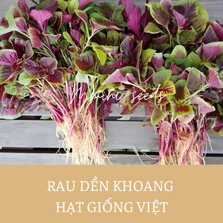 10g hạt gióng rau dền tiều