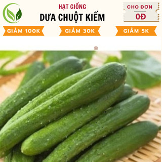 Hạt giống dưa chuột kiếm, hạt giống dưa chuột nhật - chất lượng cao, dễ trồng, năng suất tốt