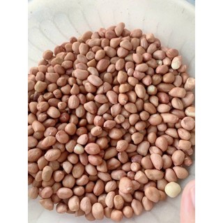 500G Lac rang nguyên vị - Đậu phộng rang
