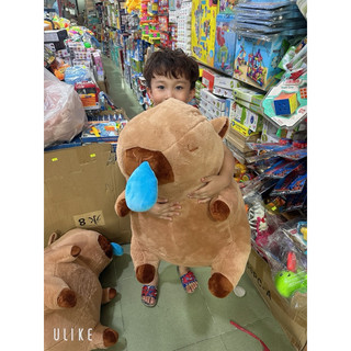 Gấu bông chuột lang nước Capybara rút mũi chậm