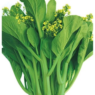 Hạt giống cải ngồng - gói 20gr - Hạt giống Hóa Nông