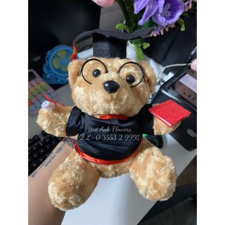 Gấu xù cử nhân 25cm
