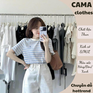 Áo phông nữ kẻ sọc thêu logo ngựa Cama Clothes, áo thun nữ ngắn tay ba màu năng động D1604