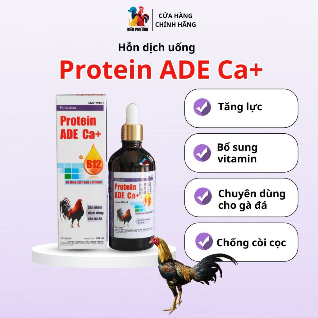 Đạm gà đá nhân sâm PROTEIN ADE  Ca+ Protein b12 nhân sâm dành cho gà ăng lực, tăng khung xương, bổ s