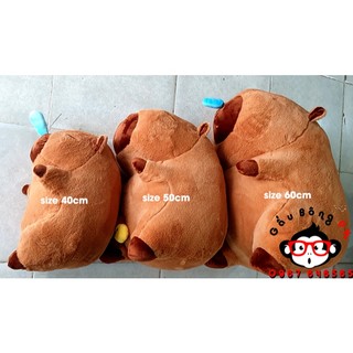 Gấu bông capybara 70cm / 60cm / 50cm / 40cm và Gấu bông trà sữa chân trâu