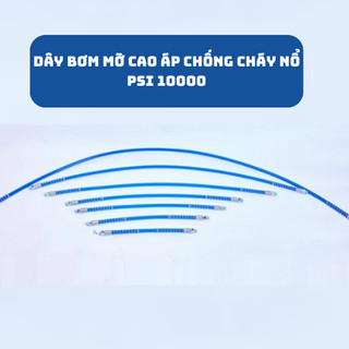 Dây dẫn mỡ bò cáo áp chống cháy nổ, PSI 10000 thân bọc lò xo chân ren phổ thông dùng được cho tất cả các loại bơm mỡ