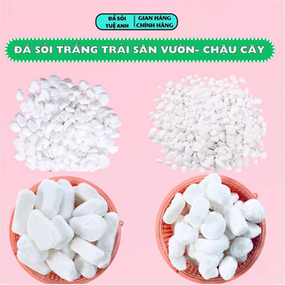 Đá Sỏi Trắng Trang Trí Chậu Cây,Hồ Cá, Trải Sàn Nhà,Sân Vườn, Trang trí Nhà Cửa, Quán Cafe, Sỏi Trắng Đẹp