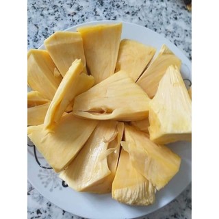 Cây giống mít không hạt ( chuẩn giống F1)