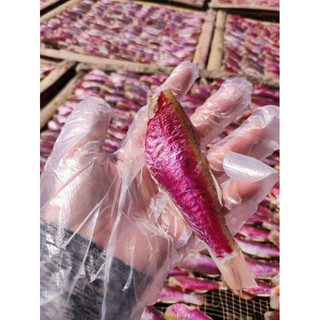 1kg Cá phèn hồng 1 nắng