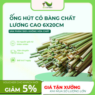 100 ống hút cỏ 6x 20cm không tan trong nước - Dùng được cho tất cả các loại thức uống - T2ecogreen