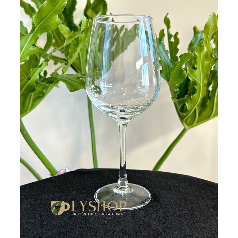 Ly rượu vang 450ml