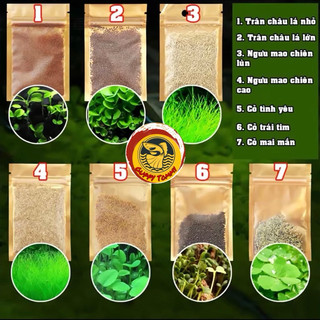 Hạt giống cây thuỷ sinh
