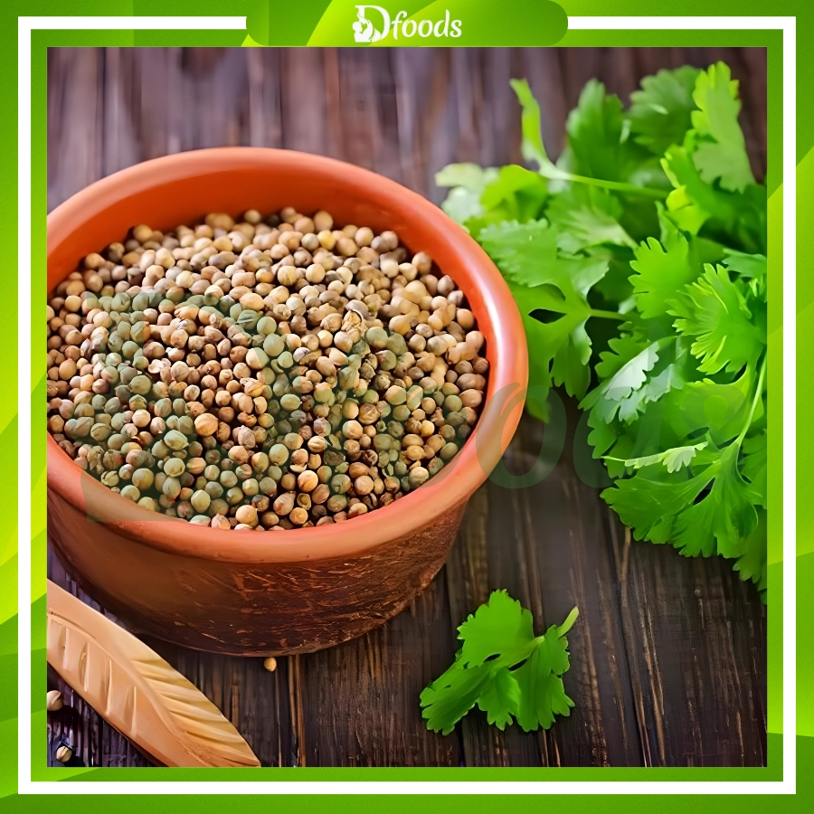 Hạt Ngò Ấn Độ (Coriander Seeds), Bột Ngò Ấn Độ (Coriander Powder)