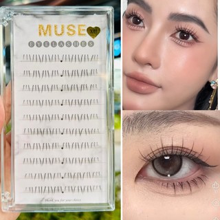 Mi rời - mi muse tự nhiên x01-mi dưới