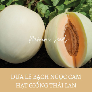 30h Hạt giống dưa Lê cẩm Ngọc cam
