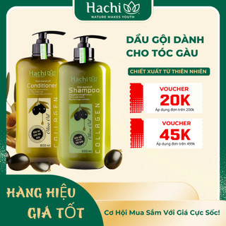 Dầu Gội, Xả Hachi Anti-Dandruff dành cho tóc gàu chiết xuất từ Olive hỗ trợ giảm gàu ngứa