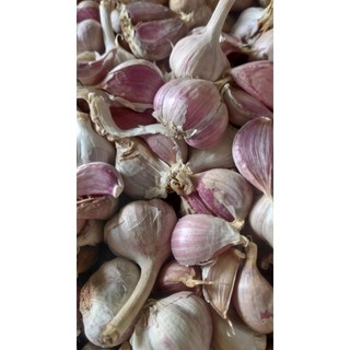 1Kg Tỏi Tím(Tỏi Bắc) giá rẻ