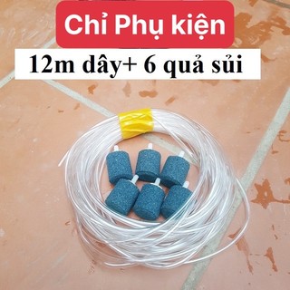 Máy Sủi Khí Oxy Bể Cá