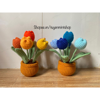 🪴🌸CHẬU HOA LEN TULIP NHIỀU MÀU (hàng sẵn có)