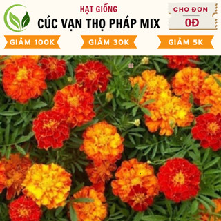 Hạt giống hoa vạn thọ pháp