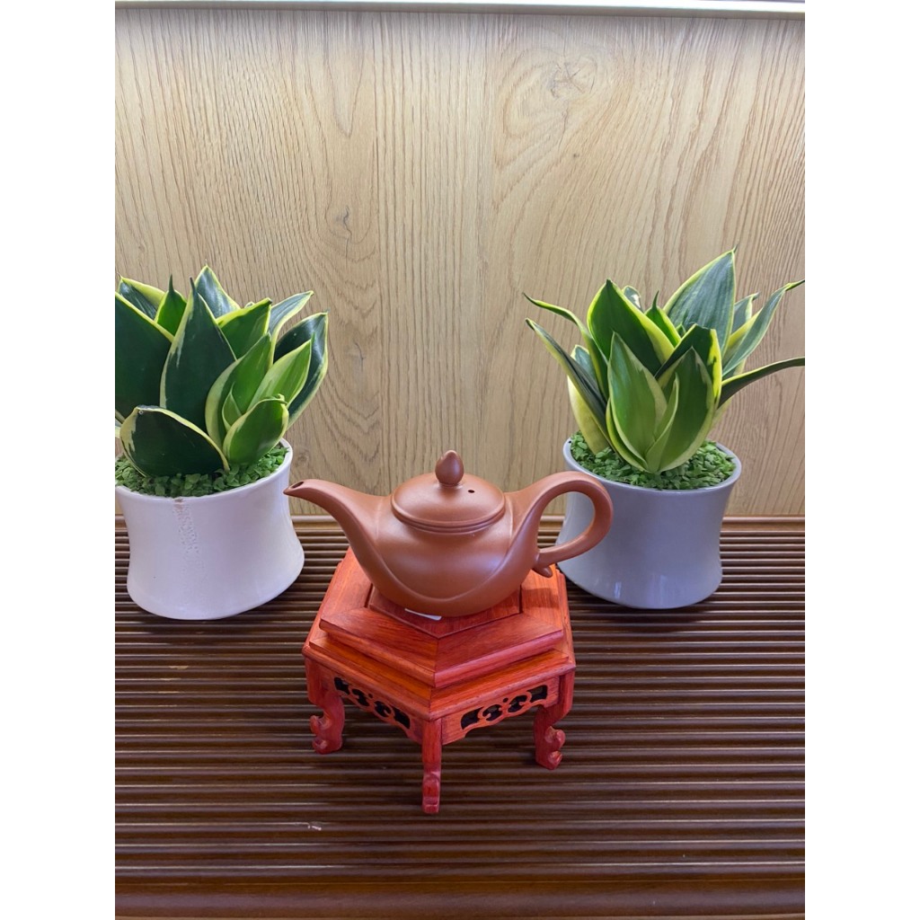 #000514 ẤM TỬ SA ALADIN