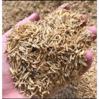 VỎ TRẤU TƯƠI Túi 1 kg trồng cây thoáng rể phủ bề mặt