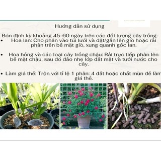 Phân trùng quế dạng viên nén 200g